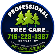 Professional Tree Care Inc.
